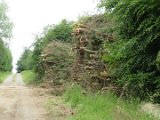 2022-05-20 - Tornado beim Sturmtief Emmelinde Solling - Steinlade bis Gehren (63)